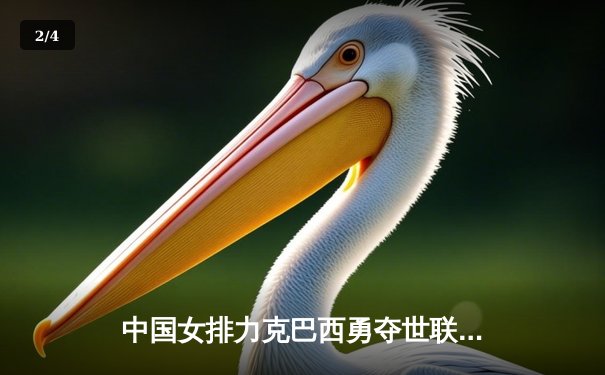 中国女排力克巴西勇夺世联赛冠军，腾讯体育全程直播见证荣耀时刻 - 2